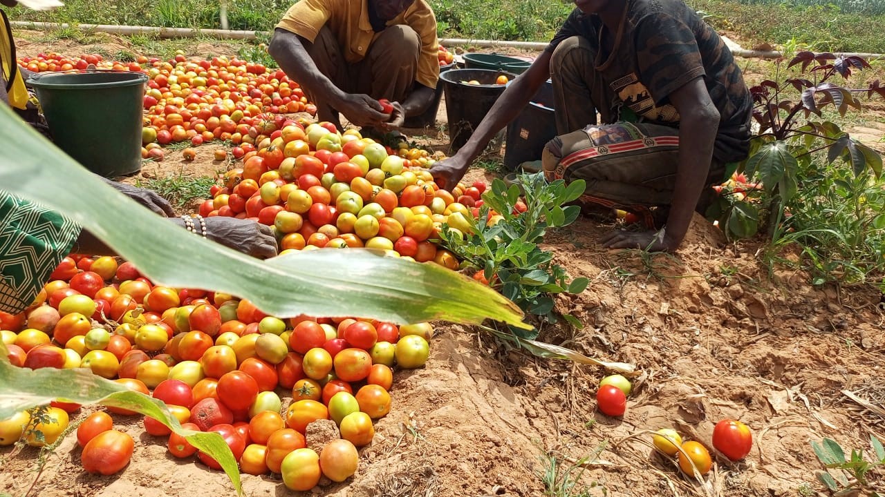 Vision agricole SIRABA